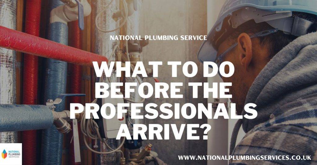 What to Do Before the Professionals Arrive